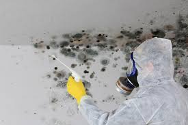 Mold Odor Removal Services in Thunderbolt, GA